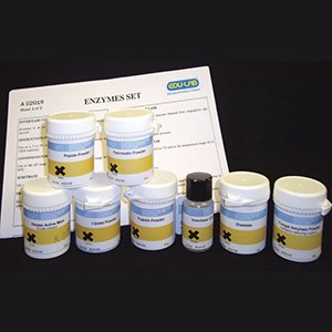 Enzymes Set